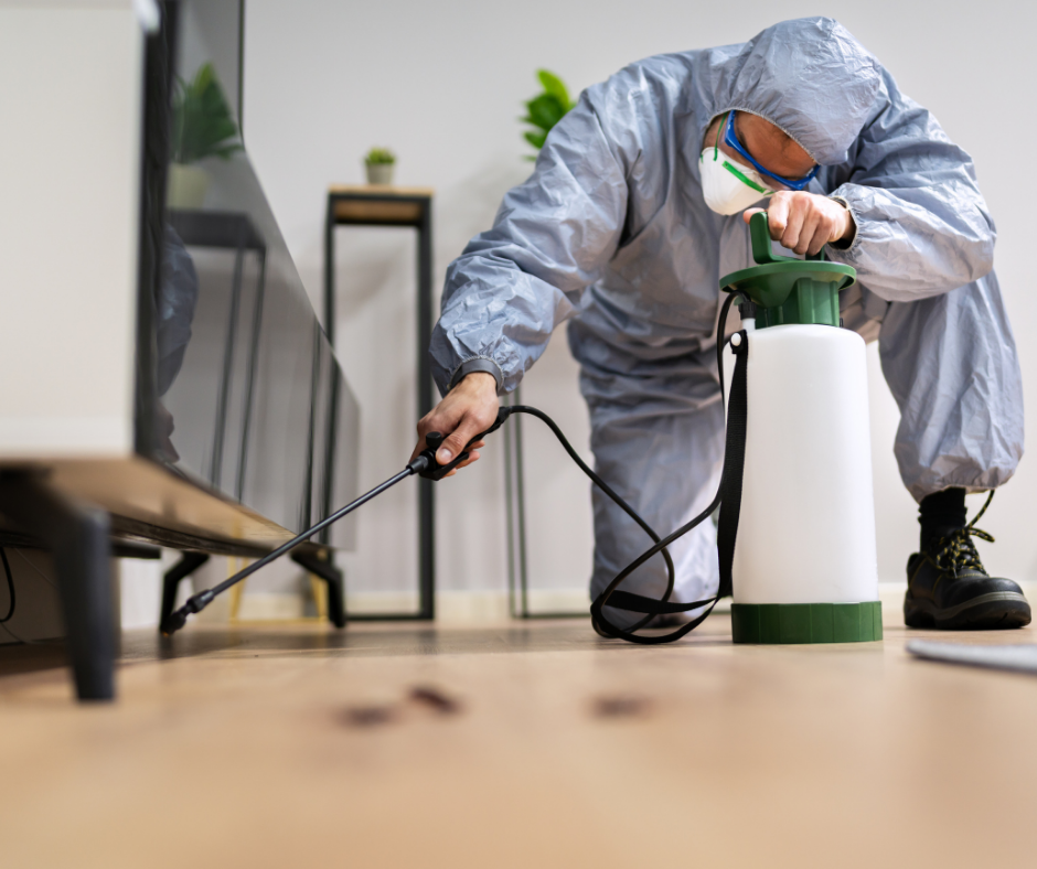 مكافحة الحشرات